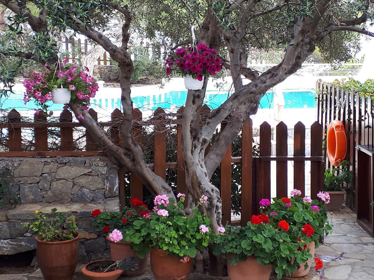 Ferma Solaris Apartments Agia Fotia  Exterior photo