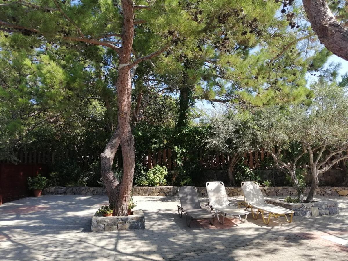 Ferma Solaris Apartments Agia Fotia  Exterior photo